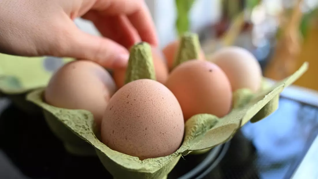 Einen Notstand bei der Eier-Versorgung gibt es nicht - aber Lücken in den Regalen der Händler. (Symbolbild) - Bild: Elisa Schu/dpa