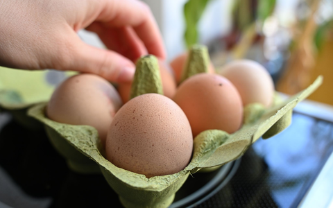 Einen Notstand bei der Eier-Versorgung gibt es nicht - aber Lücken in den Regalen der Händler. (Symbolbild) - Foto: Elisa Schu/dpa Einen Notstand bei der Eier-Versorgung gibt es nicht - aber Lücken in den Regalen der Händler. (Symbolbild) - Foto: Elisa Schu/dpa