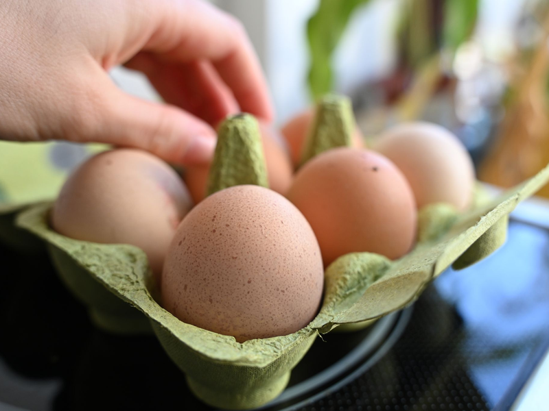 Einen Notstand bei der Eier-Versorgung gibt es nicht - aber Lücken in den Regalen der Händler. (Symbolbild) - Foto: Elisa Schu/dpa