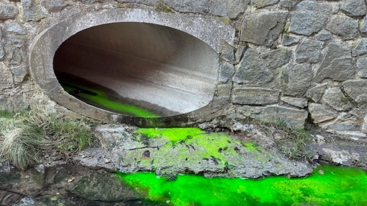 FW Dresden: ABC-Einsatz der Feuerwehr Dresden: Verfärbungen im Kaitzbach - keine Gefahr! - Foto: presseportal.de