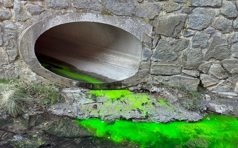 FW Dresden: ABC-Einsatz der Feuerwehr Dresden: Verfärbungen im Kaitzbach - keine Gefahr! - Foto: presseportal.de