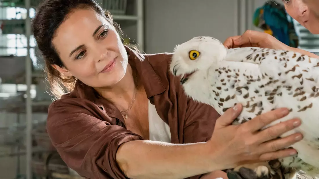 Elisabeth Lanz spielt schon seit 2006 die Tierärztin Dr. Susanne Mertens für die ARD. (Archivbild) - Bild: Steffen Junghans/ARD/dpa