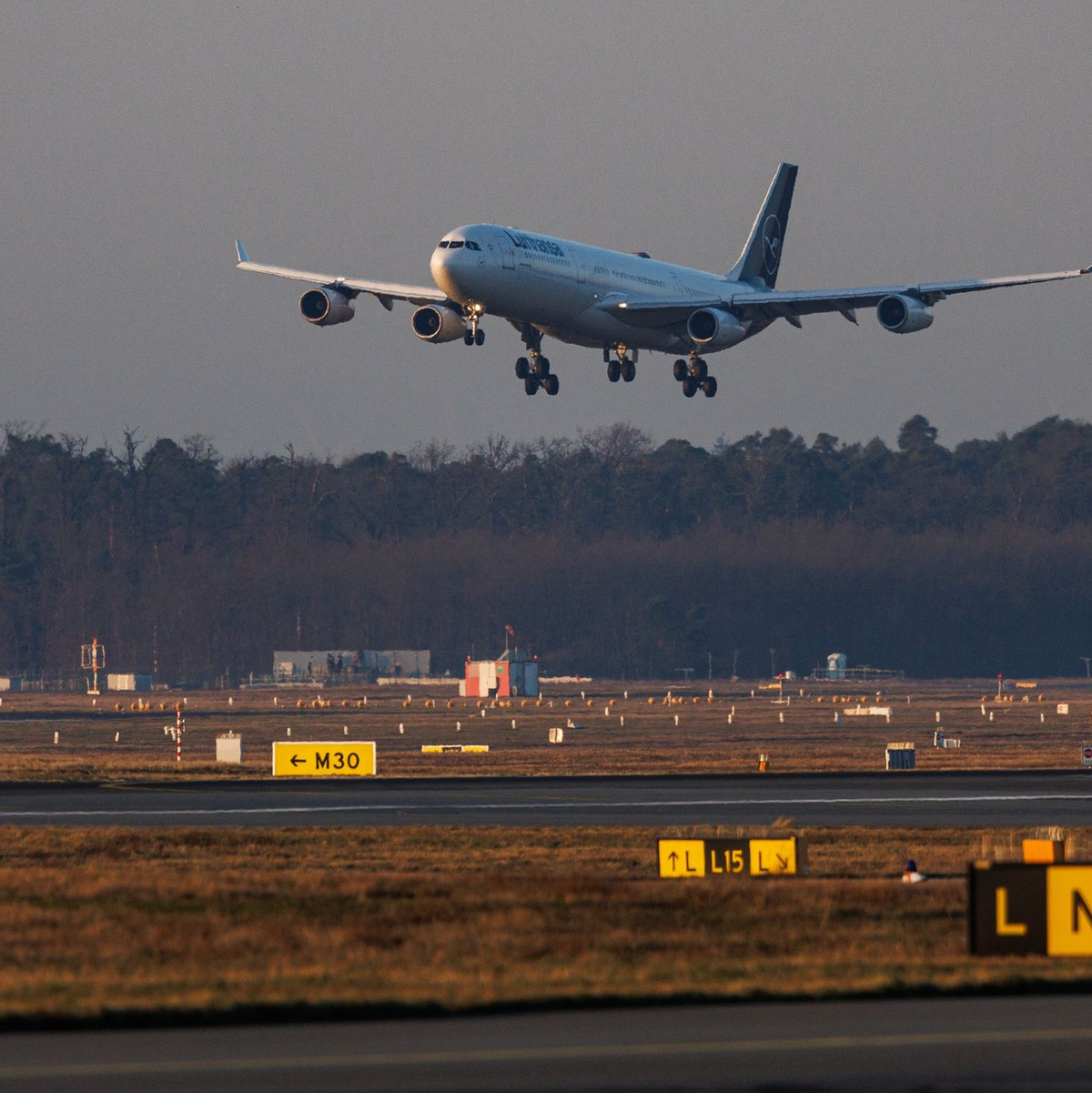 Am Morgen landete am Frankfurter Flughafen die erste Evakuierungsmaschine im Auftrag der Bundesregierung. - Foto: Hannes P Albert/dpa/dpa-tmn