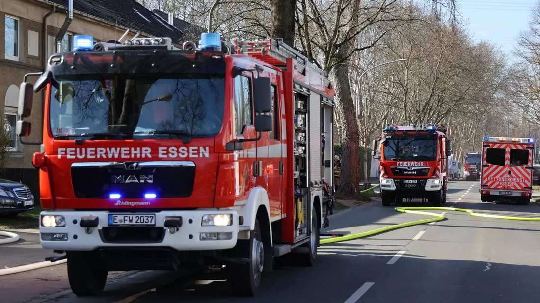 FW-E: Brand einer Gartenlaube im Hinterhof - Feuerwehr verhindert Brandausbreitung - Bild: presseportal.de