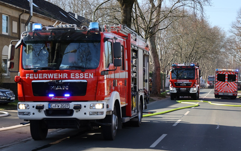 FW-E: Brand einer Gartenlaube im Hinterhof - Feuerwehr verhindert Brandausbreitung - Foto: presseportal.de