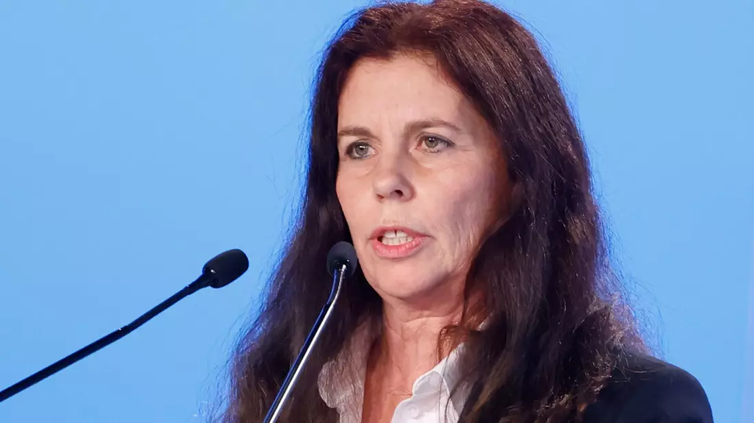 Die Europaabgeordnete Arndt hatte schwere Vorwürfe gegen die AfD-Spitze in Niedersachsen erhoben. (Archivbild) - Bild: Carsten Koall/dpa