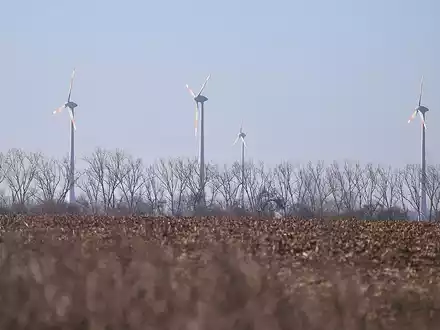Windräder (Archiv) - Foto: via dts Nachrichtenagentur
