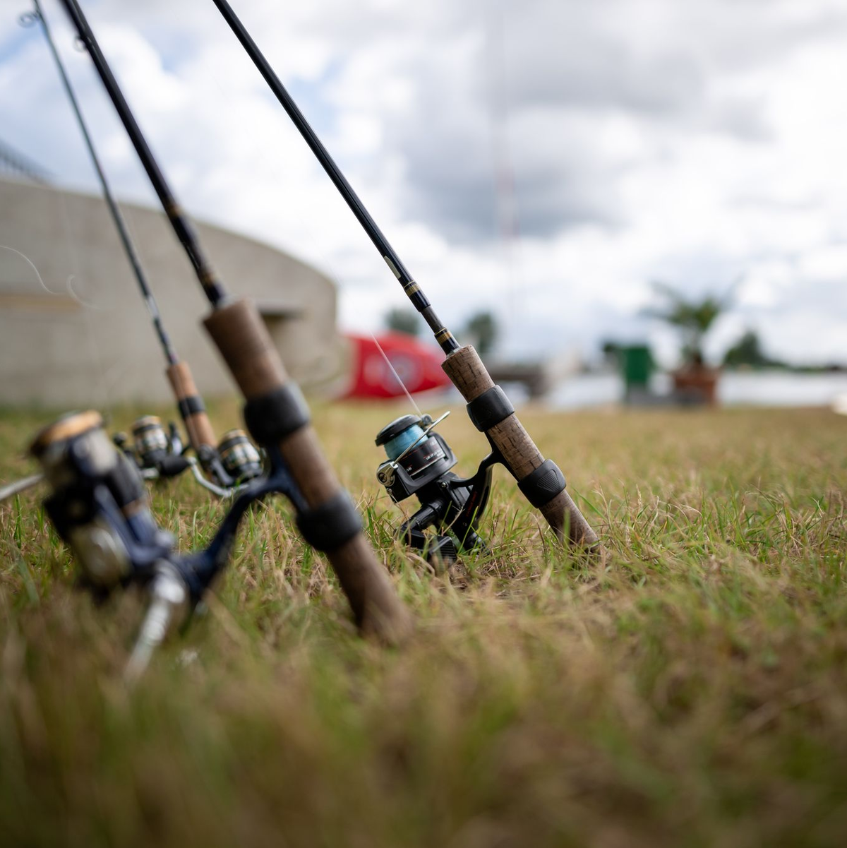 Angeln war lange eine Männerdomäne - das ändert sich langsam. (Symbolbild) - Foto: Fabian Strauch/dpa
