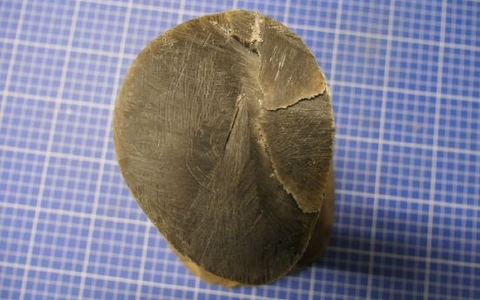 HZA-DD: Reisender schmuggelt Elfenbein / HornstĂŒck eines Nashorns in einer Paketsendung - Foto: presseportal.de HZA-DD: Reisender schmuggelt Elfenbein / HornstĂŒck eines Nashorns in einer Paketsendung - Foto: presseportal.de