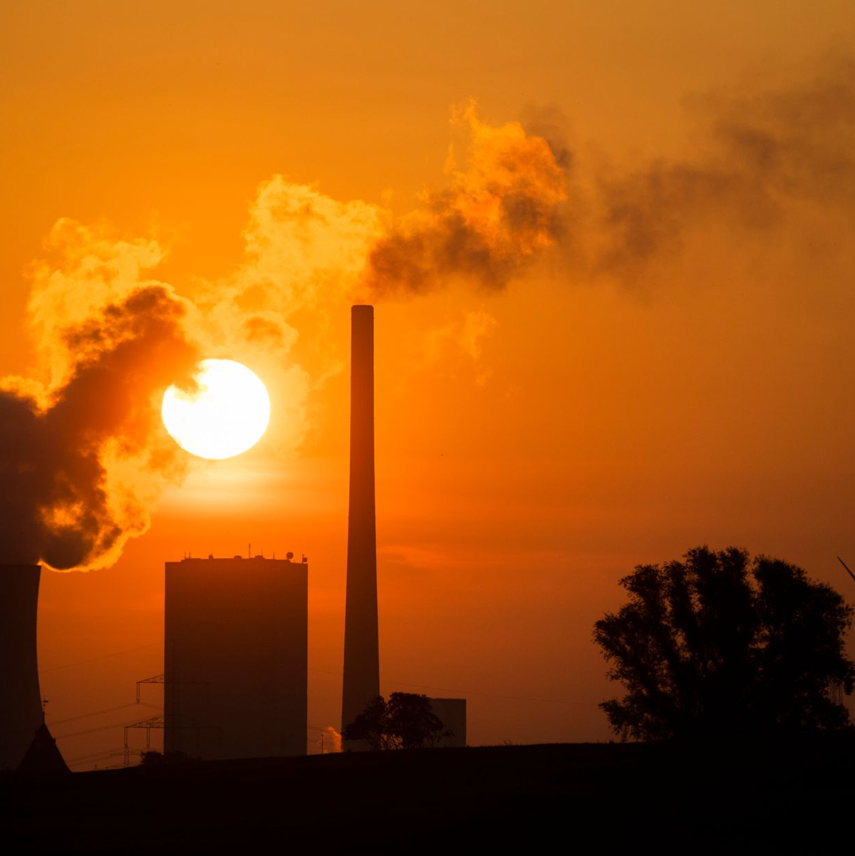  Die Erdtemperatur ist in einer Dekade um etwa 0,35 Grad gestiegen. (Archivbild) - Foto: Julian Stratenschulte/dpa