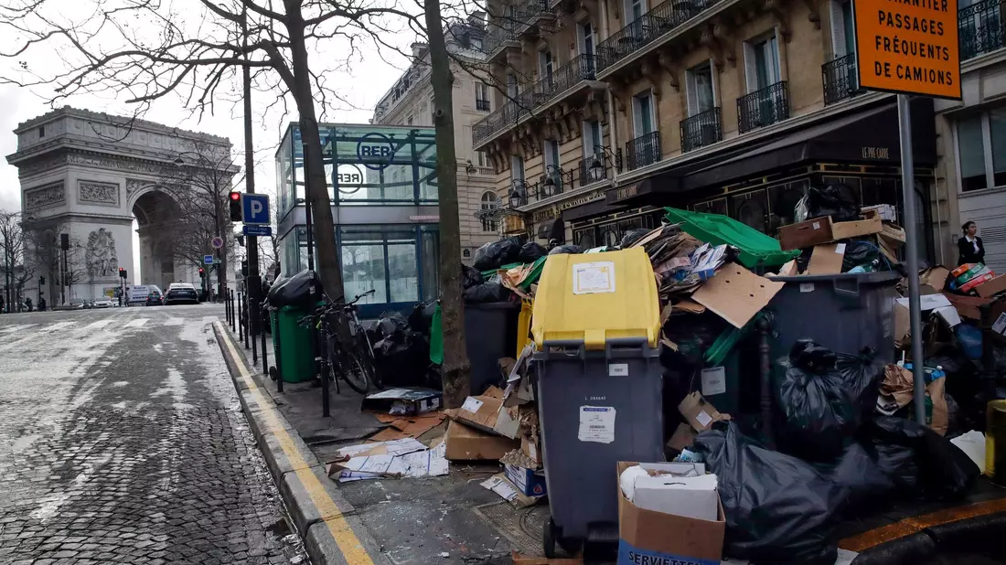 Im Kommunalwahlkampf in Paris versprechen viele Kandidatinnen und Kandidaten für das Bürgermeisteramt ein härteres Vorgehen gegen Ratten. (Archivbild) - Bild: Christophe Ena/AP/dpa