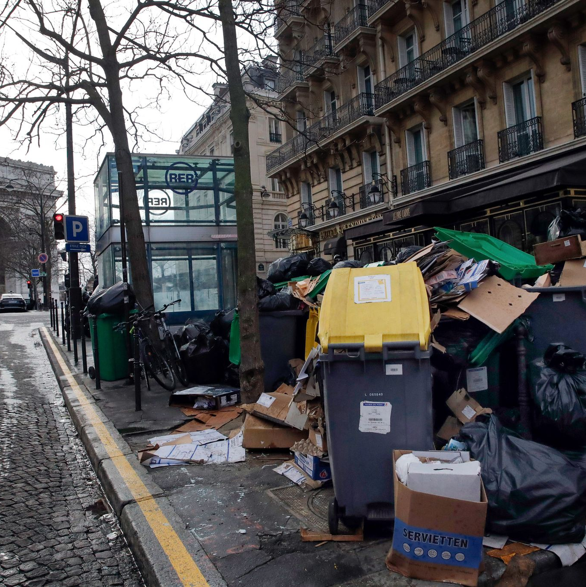 Im Kommunalwahlkampf in Paris versprechen viele Kandidatinnen und Kandidaten für das Bürgermeisteramt ein härteres Vorgehen gegen Ratten. (Archivbild) - Foto: Christophe Ena/AP/dpa