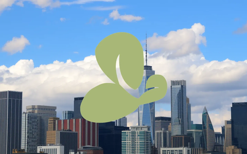 Investors Eye Orchid Island Capital's Upcoming Payout - Foto: über boerse-global.de