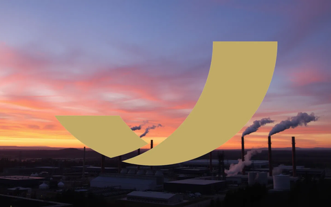 Silver Predator Charts New Course Following Annual Results - Foto: über boerse-global.de