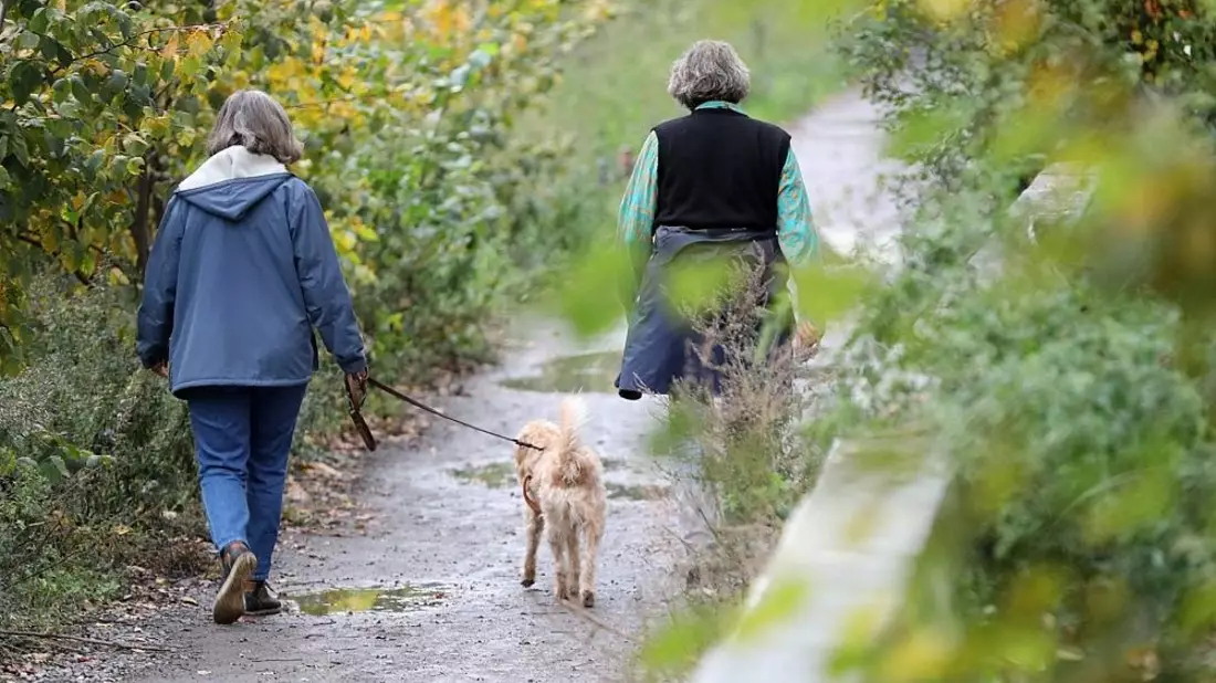 Zwei Frauen gehen mit einem Hund Gassi (Archiv) - Bild: via dts Nachrichtenagentur
