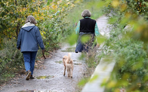 Zwei Frauen gehen mit einem Hund Gassi (Archiv) - Foto: via dts Nachrichtenagentur