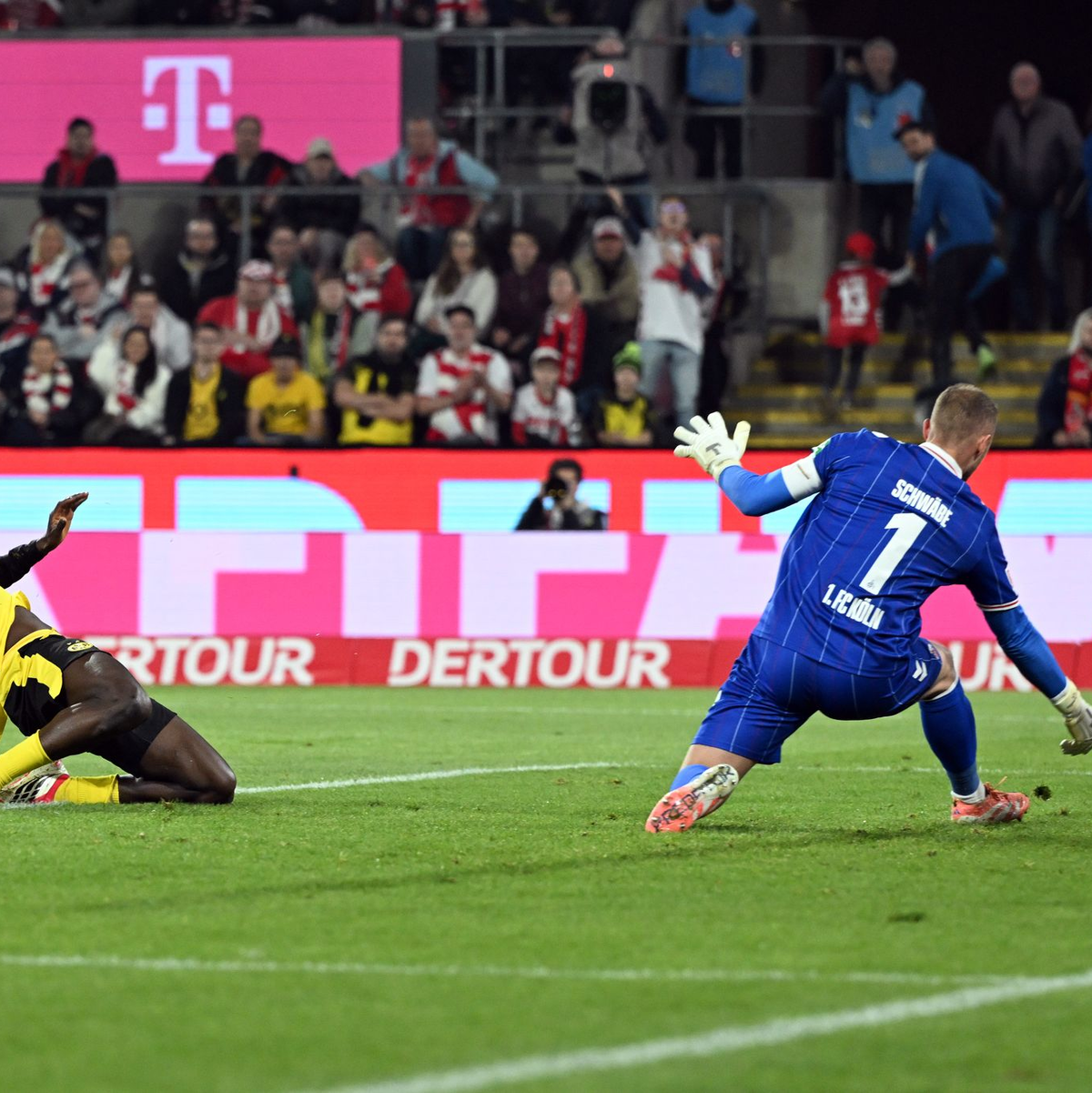 Serhou Guirassy (l) schoss den BVB in Führung. - Foto: Federico Gambarini/dpa
