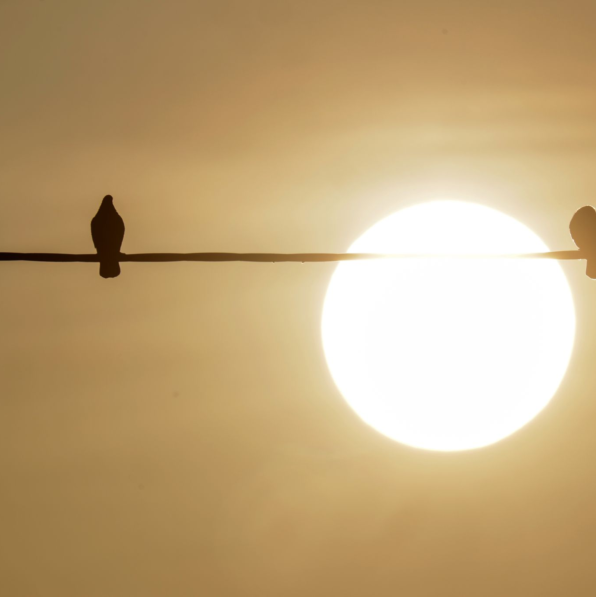 Bodennahe Winde haben den Staub in Afrika aufgewirbelt, dann wird der nach Europa transportiert. - Foto: Thomas Warnack/dpa