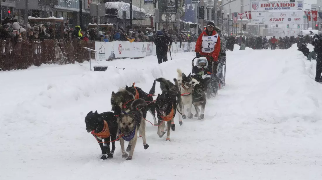 Das Schlittenhunderennen Iditarod ist gestartet.  - Bild: Mark Thiessen/AP/dpa
