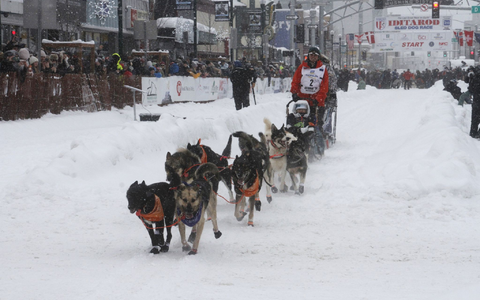 Das Schlittenhunderennen Iditarod ist gestartet.  - Foto: Mark Thiessen/AP/dpa