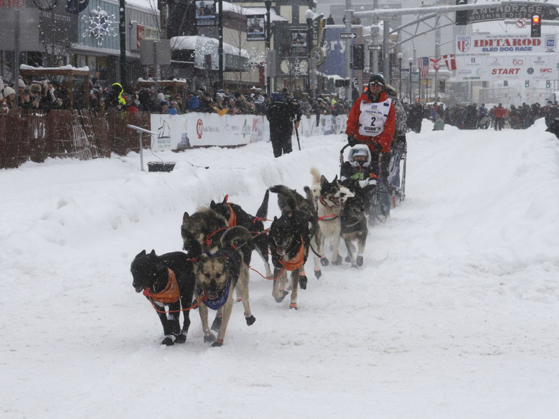 Das Schlittenhunderennen Iditarod ist gestartet.  - Foto: Mark Thiessen/AP/dpa