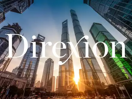 Direxion China Bull 3X ETF: Neue Marschrichtung - Foto: über boerse-global.de