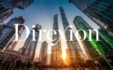 Direxion China Bull 3X ETF: Neue Marschrichtung - Foto: über boerse-global.de