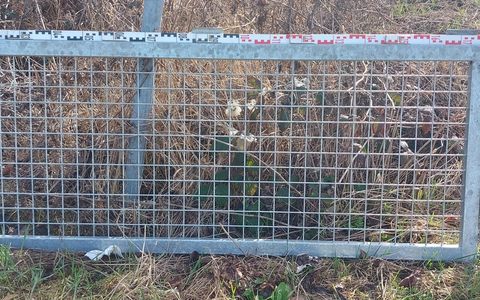 POL-HI: Ist Ihr Anhänger noch verkehrssicher? - Teile vom Anhänger auf der Autobahn verloren - Foto: presseportal.de
