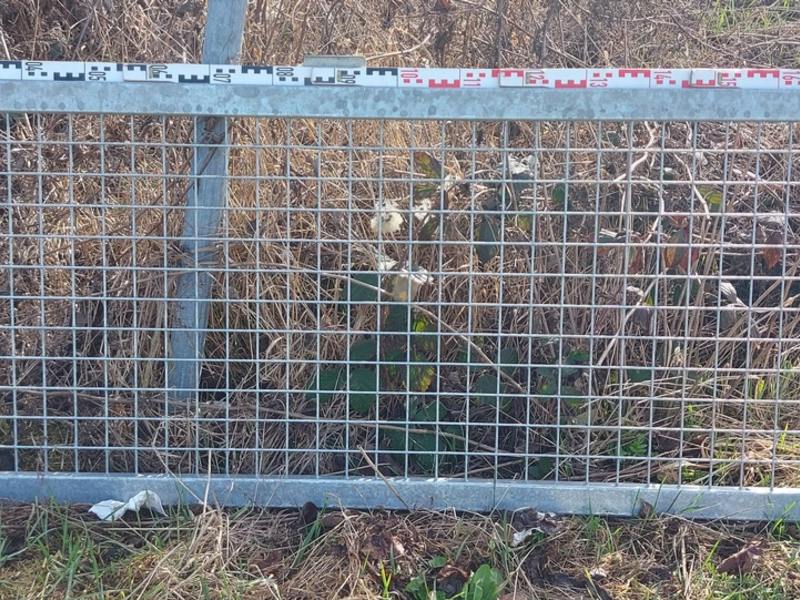 POL-HI: Ist Ihr Anhänger noch verkehrssicher? - Teile vom Anhänger auf der Autobahn verloren - Foto: presseportal.de
