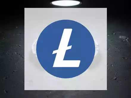 LTCUP: Token endgültig eingestellt - Foto: über boerse-global.de