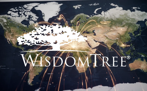 WisdomTree International Dividend ETF: Fokus auf Rendite - Foto: über boerse-global.de