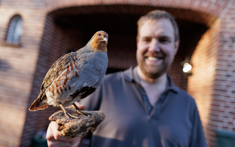  Landwirt Christian Wiese beteiligt sich seit mehreren Jahren an dem Projekt zum Schutz der Rebhühner in der Dümmerregion. Er zeigt auf seinem Hof ein Tierpräparat. Dabei handelt es sich um ein männliches Rebhuhn.  - Foto: David Ebener/dpa
