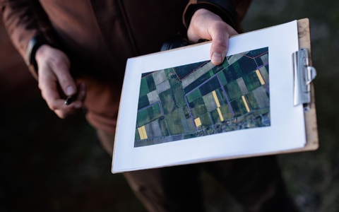 Auf einer Karte sind die Flächen zu sehen, an denen die Rebhuhnzählung sattfindet.  - Foto: David-Wolfgang Ebener/dpa
