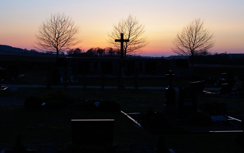 Rund um den Sonnenuntergang findet in der Balzzeit der Rebhühner die jährliche Zählung statt. Der Rundgang mit Helfern an Feldern in Brockum in Niedersachsen startet in der Nähe des Friedhofes.  - Foto: David Ebener/dpa