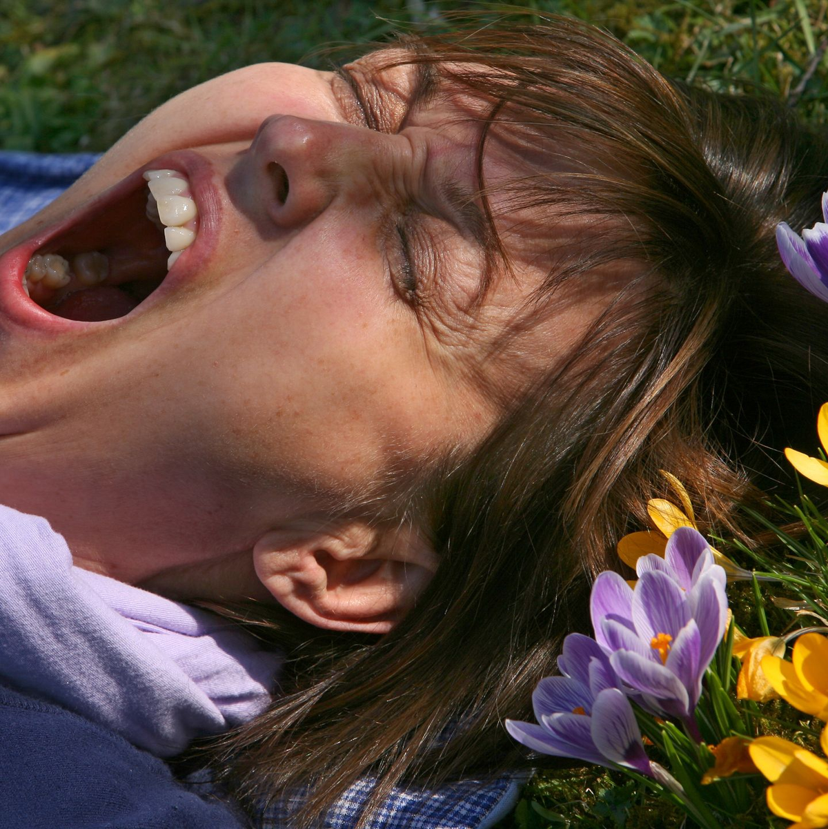 Eine Frau liegt auf einer mit Krokussen bewachsenen Wiese und gähnt. (Archivbild) - Foto: picture alliance / Karl-Josef Hildenbrand/dpa