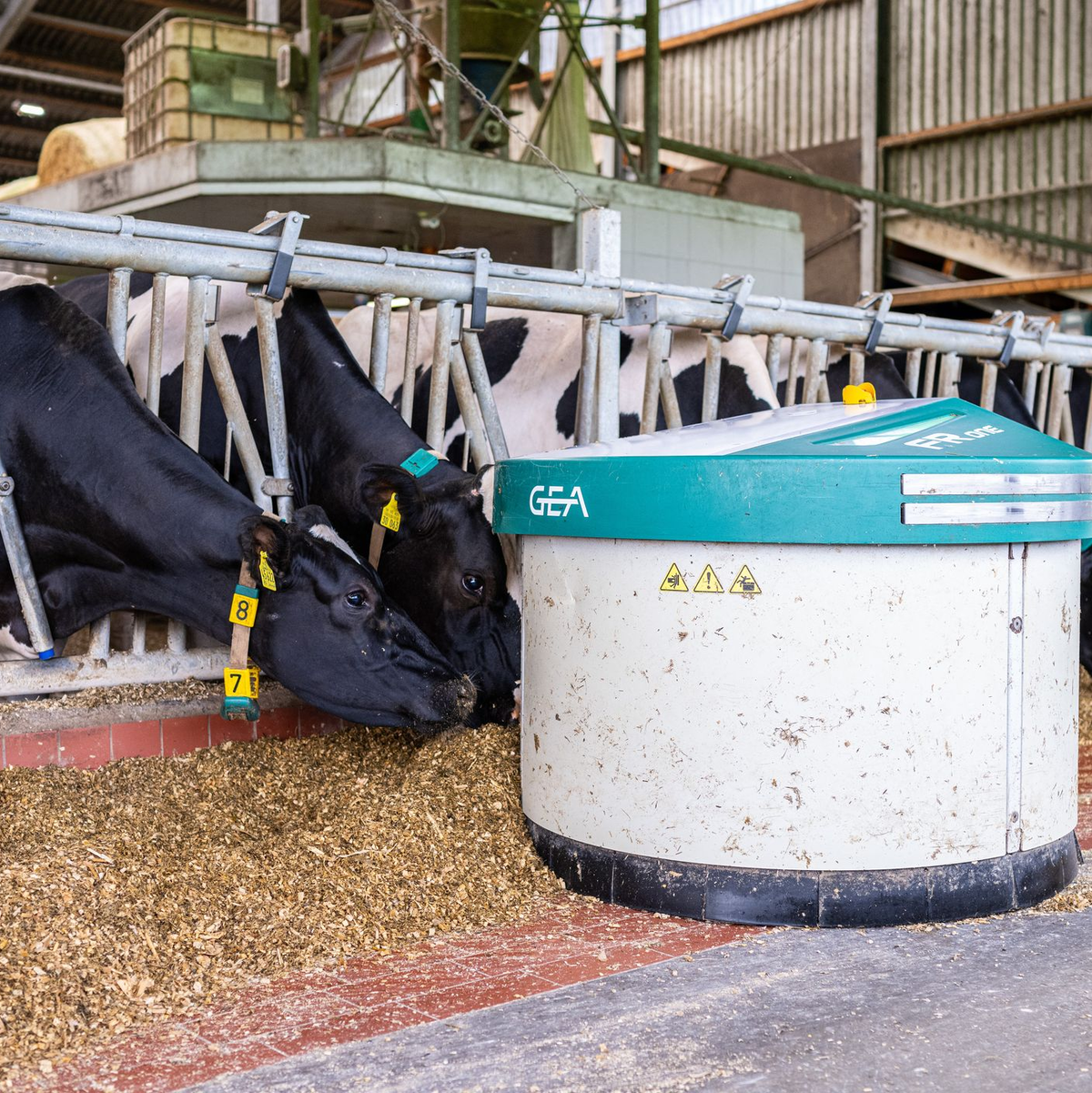 Melkroboter von Gea auf einem Bauernhof in Ahaus. (Archivbild) - Foto: Guido Kirchner/dpa