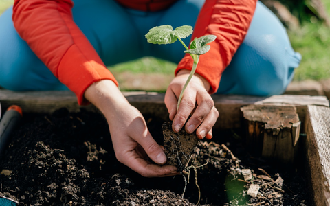 Klimaschutz im Garten: toom setzt konsequent auf torffreies Gärtnern / Bundesweite Aktionswoche Torffrei gärtnern des Bundesministeriums für Ernährung, Landwirtschaft und Heimat (BMELH) - Foto: presseportal.de