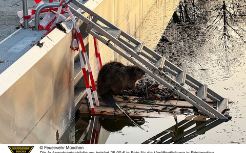 FW-M: Wochenendrückblick der Feuerwehr München für den 6. bis 8. März 2026 - Foto: presseportal.de