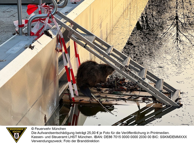 FW-M: Wochenendrückblick der Feuerwehr München für den 6. bis 8. März 2026 - Foto: presseportal.de