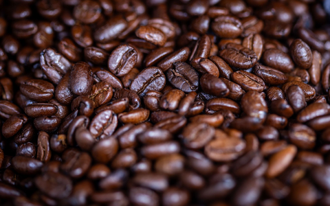 Umfragen zufolge trinken 68 Prozent der Menschen in Deutschland täglich Kaffee, 15 Prozent mehrmals wöchentlich. (Archivbild) - Foto: Jens Büttner/dpa