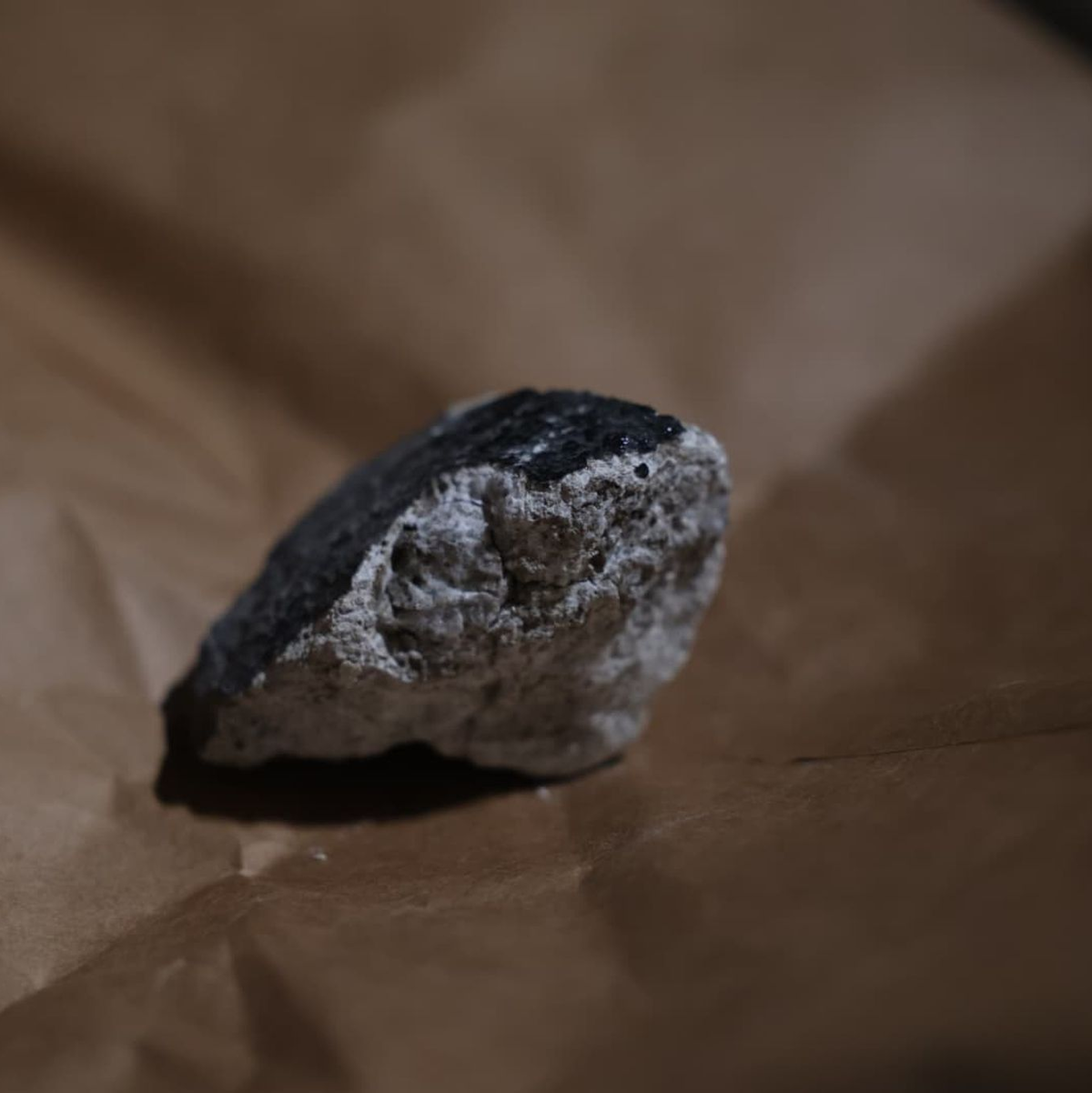 Für die Wissenschaft sind Fundstücke wie diese eine Goldgrube und Ausgangspunkt für zahlreiche Analysen. - Foto: Thomas Frey/dpa