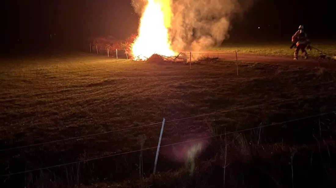 POL-MI: Tannenbäume angezündet - Bild: presseportal.de