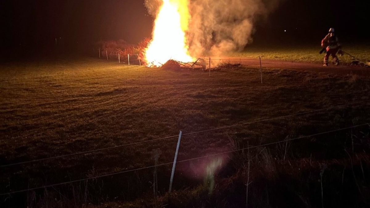 POL-MI: Tannenbäume angezündet - Foto: presseportal.de