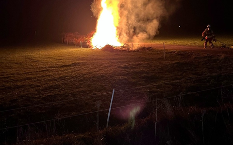 POL-MI: Tannenbäume angezündet - Foto: presseportal.de