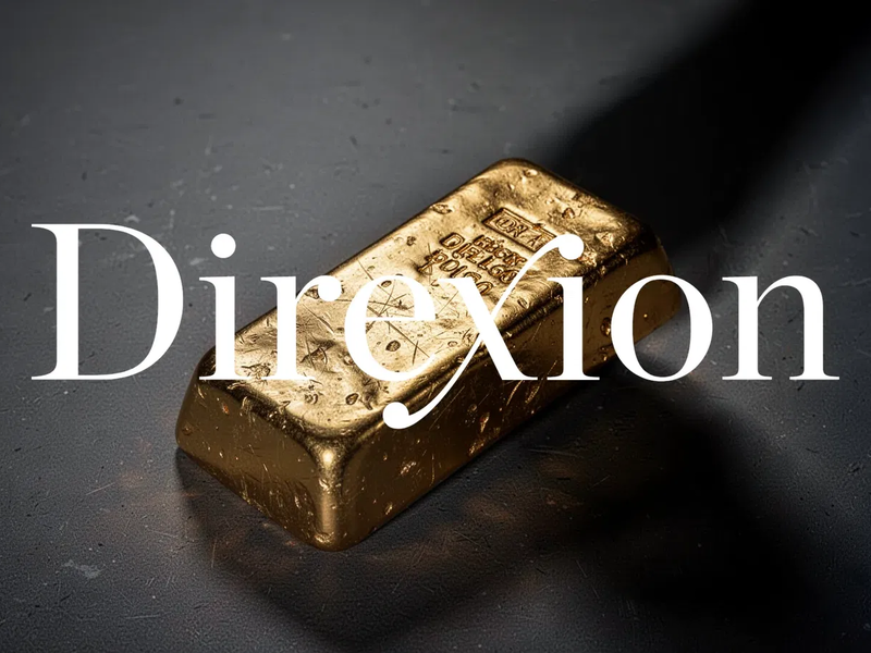 Direxion DUST ETF: Optische Kursanpassung - Foto: über boerse-global.de