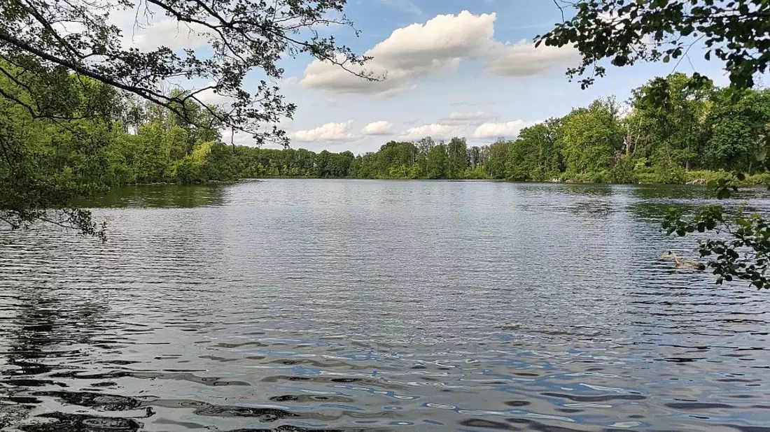 Badesee (Archiv) - Bild: via dts Nachrichtenagentur