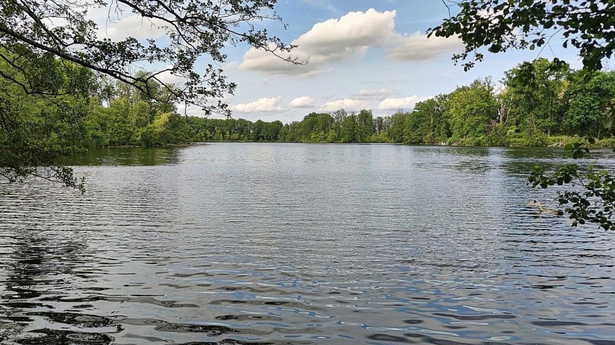 Badesee (Archiv) - Foto: via dts Nachrichtenagentur