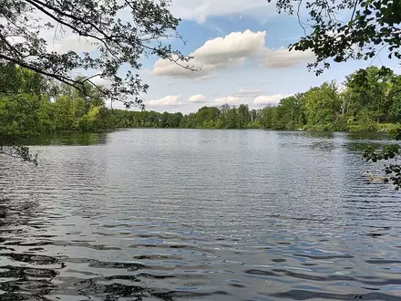Badesee (Archiv) - Foto: via dts Nachrichtenagentur