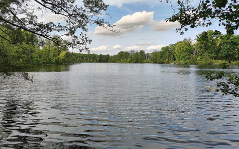 Badesee (Archiv) - Foto: via dts Nachrichtenagentur