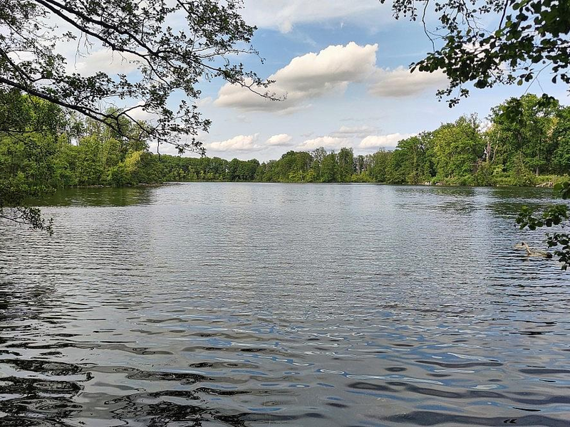 Badesee (Archiv) - Foto: via dts Nachrichtenagentur